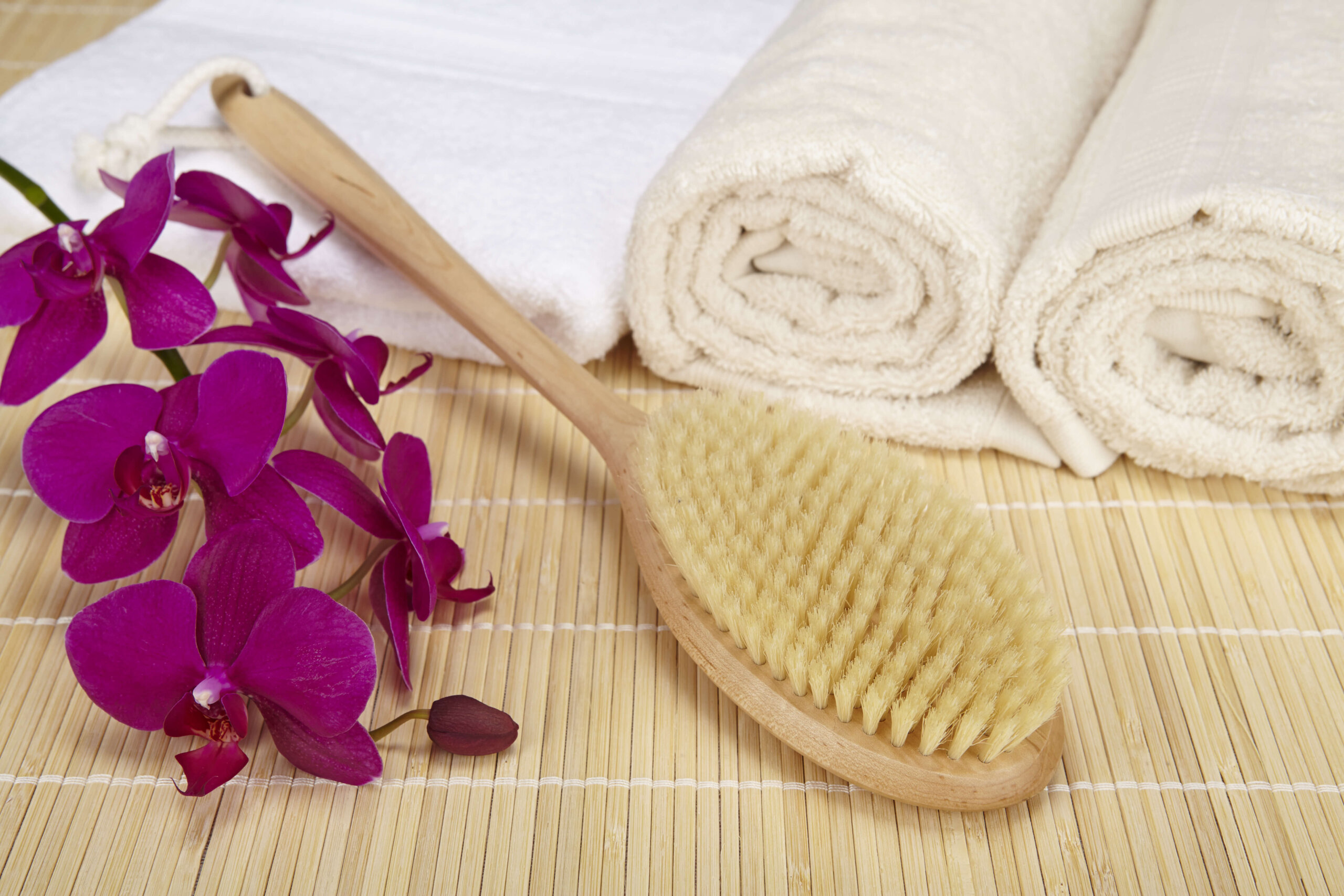 Dry Brushing