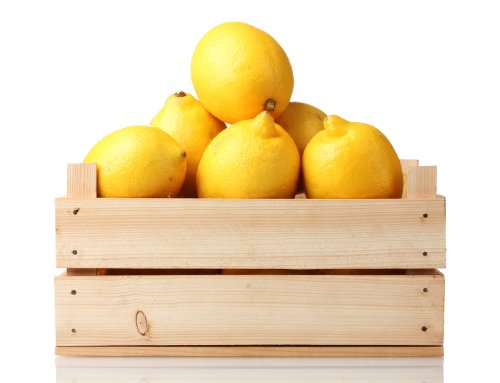 5 Ways Starting Your Day with Warm Lemon Water Does Wonders for your Health